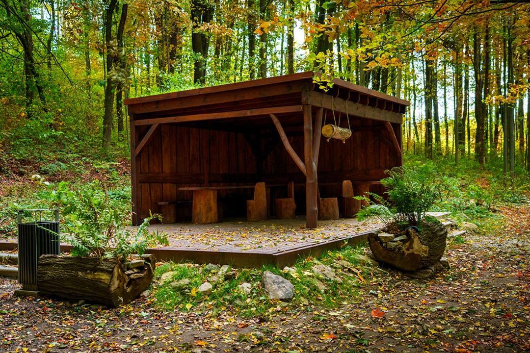 Zámek Třešť Trest Exterior foto